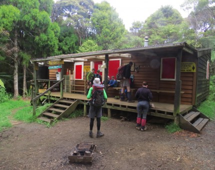 Children's Bushcraft 2017