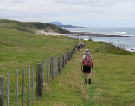 Coastal Walkway 2