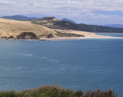 Hokianga Harbour