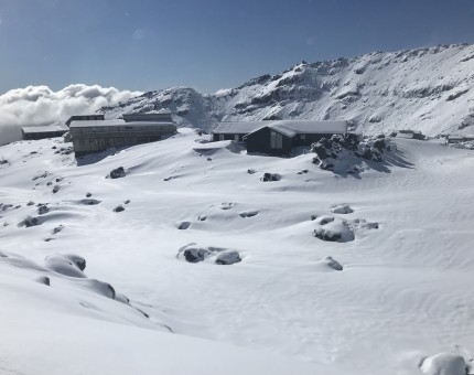 Day after a dumping