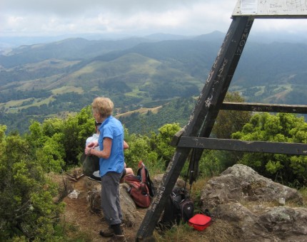 Mt Karangahake