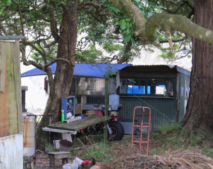 Permanent Residents