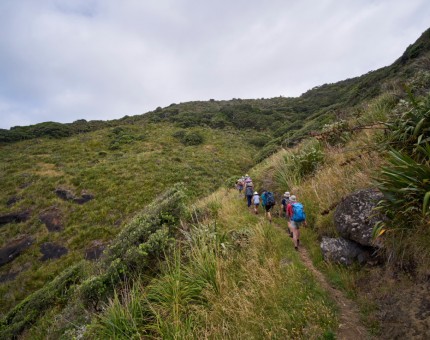 Track to Maunganui Bluff