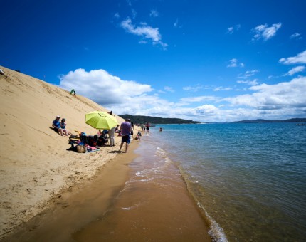 Club party on the Hokianga Sand Dunes