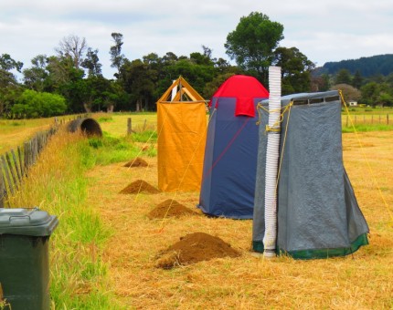 The Pesky Toilets, an organisers nemesis