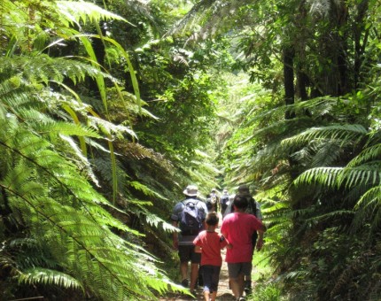 Waitawheta Track