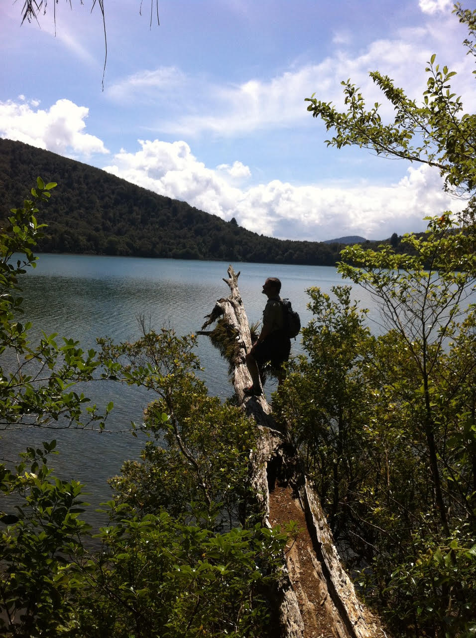 Lake Rotopounamu